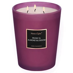 Show details for Peony & Almond Blossom Large Jar Candle | SELECTION SERIES 1316 Model Picture of Peony & Almond Blossom Large Jar Candle | SELECTION SERIES 1316 Model